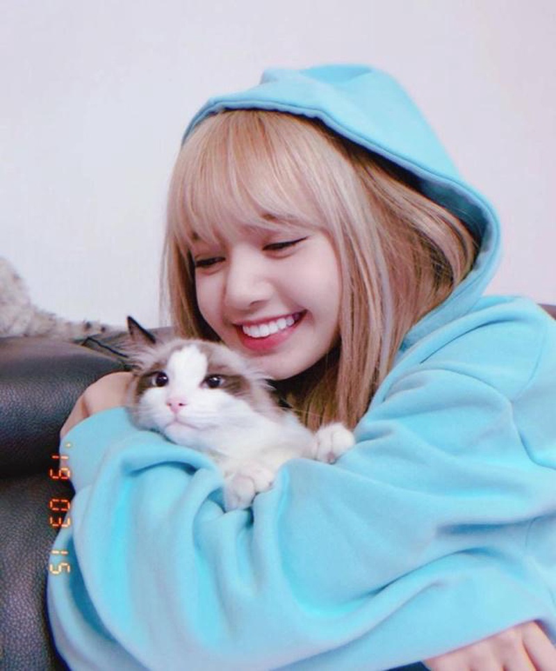 Lisa